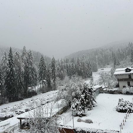 Dolomia Apartments & Spa Dimaro Eksteriør billede